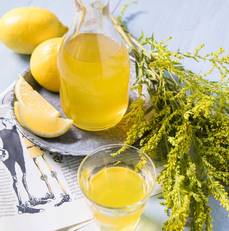 La recette du limoncello