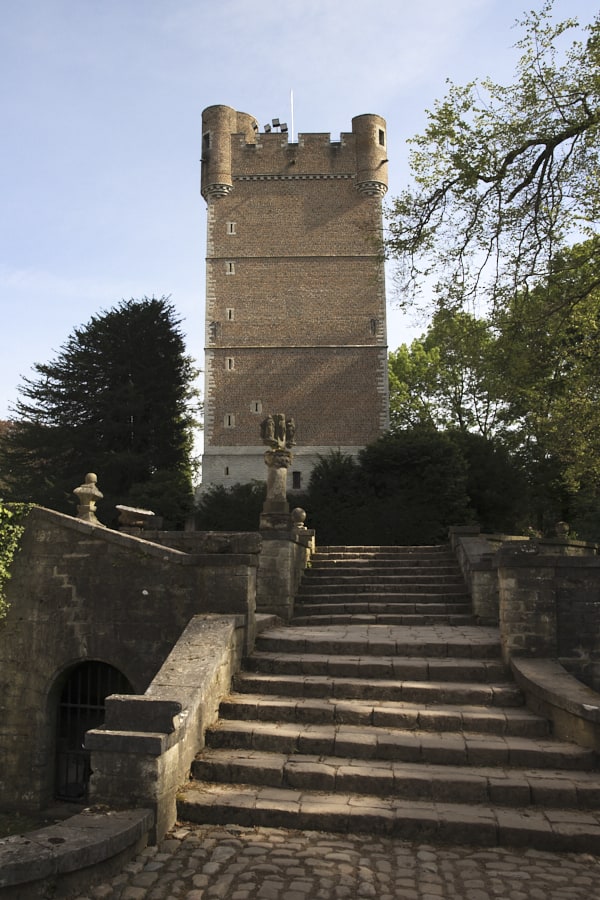 Vue du donjon et de l'escalier qui y mène.