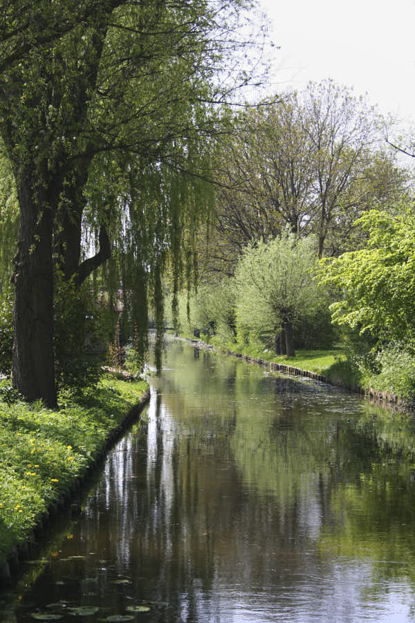 Un canal bordé de végétation et d'arbres.
