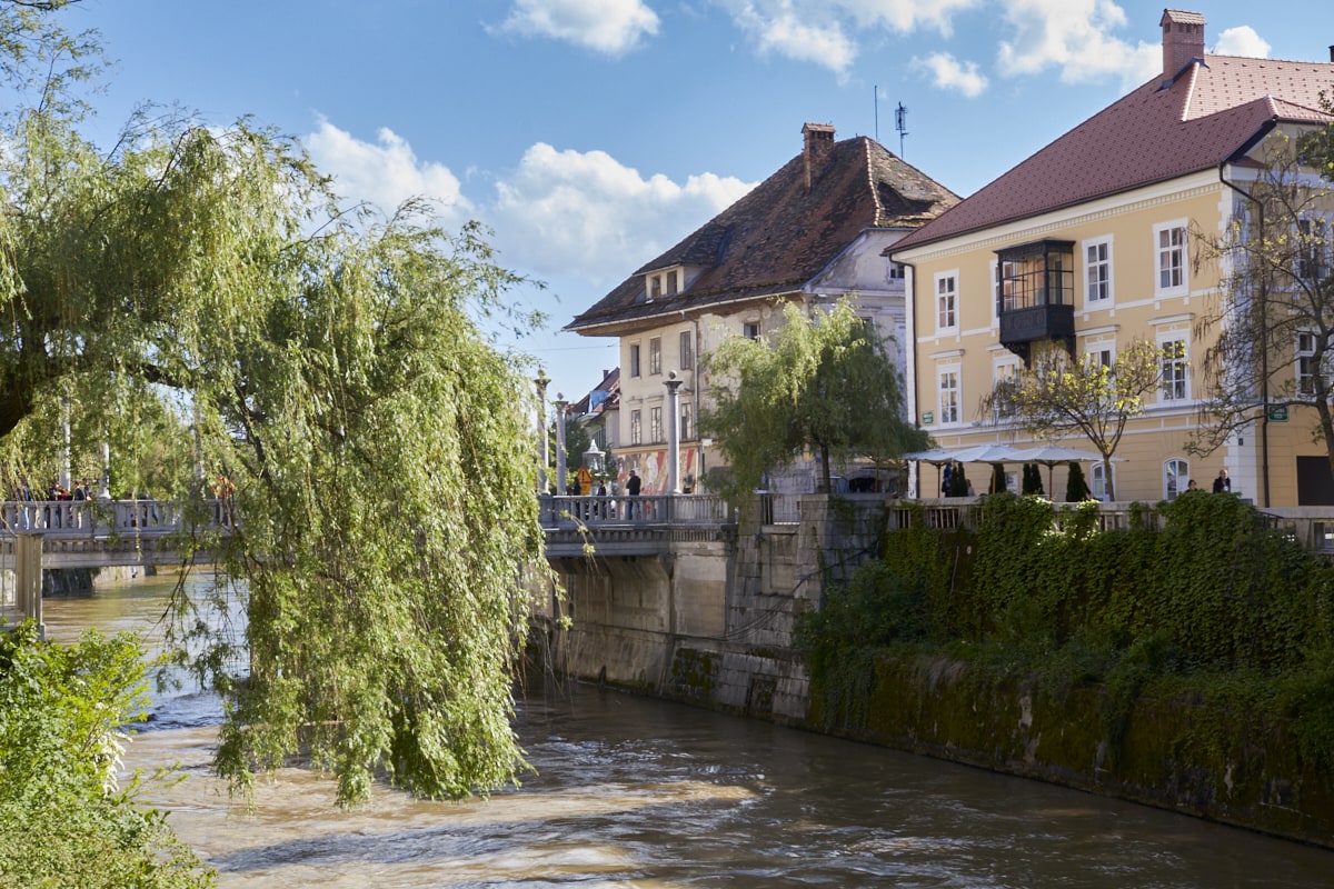 La Ljubljanica bordée de végétation en certains endroits.