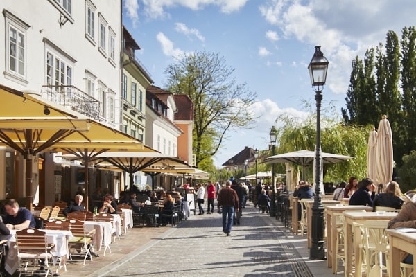 Des terrasses animées le long de la Ljubljanca