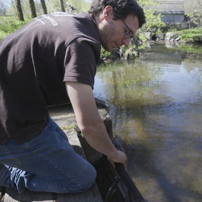 Le meunier gère le débit de l'eau avec une planche de barrage.