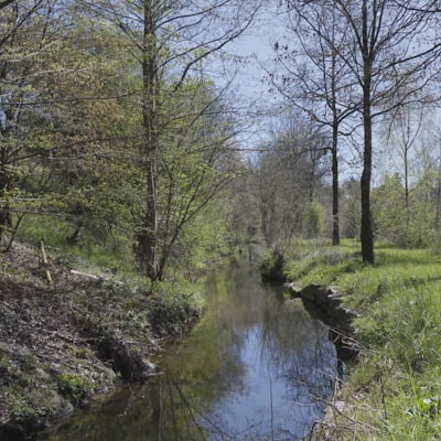 Vue sur le bief qui conduit l'eau de la Strange vers le Moulin