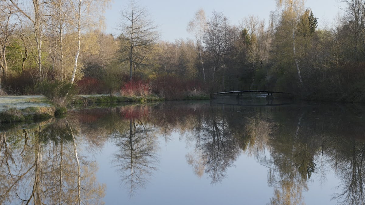 Vue de l'étang devant le Moulin de Hollange au début du Printemps