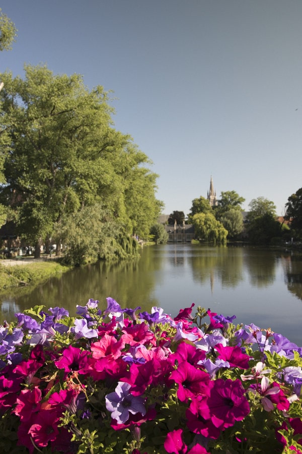 Minnewater avec un bac de fleurs au premier plan