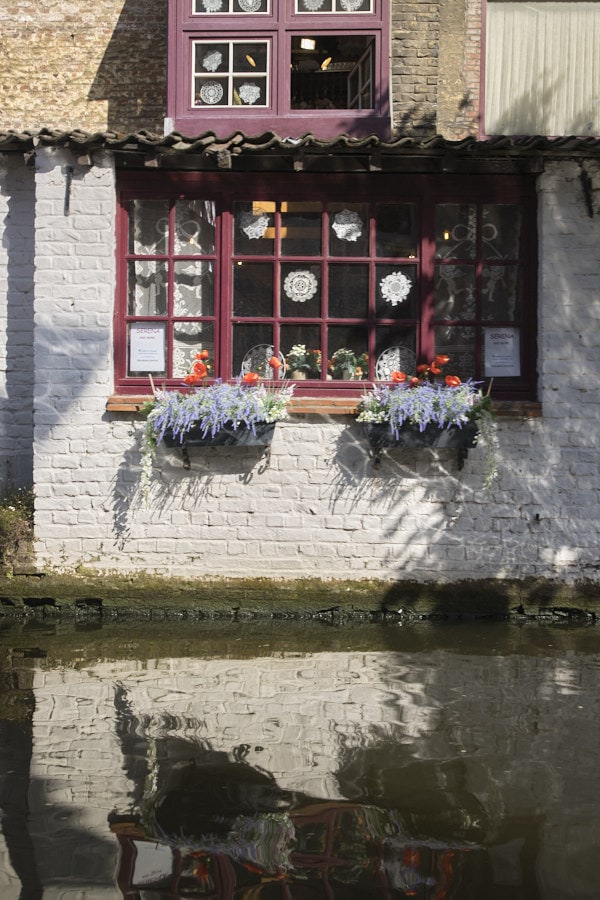 Maison fleurie se reflétant dans un canal de Bruges