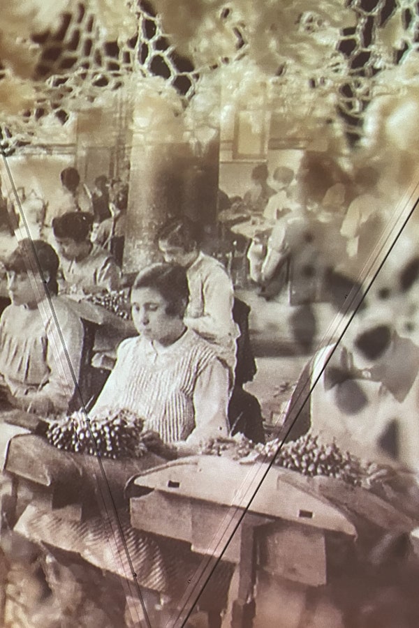 Photographie ancienne de dentellières travaillant aux fuseaux
