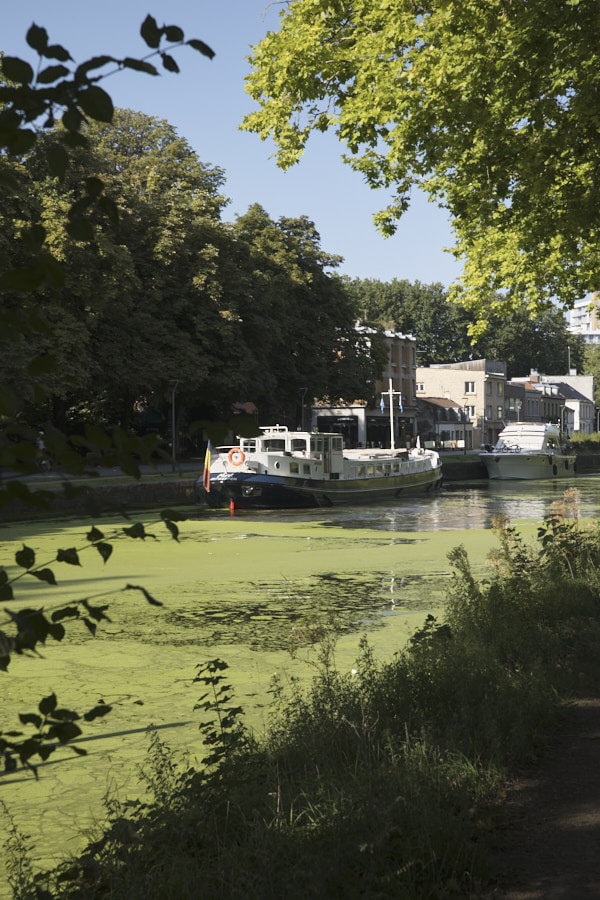 L'eau tout autour du jardin Vauban