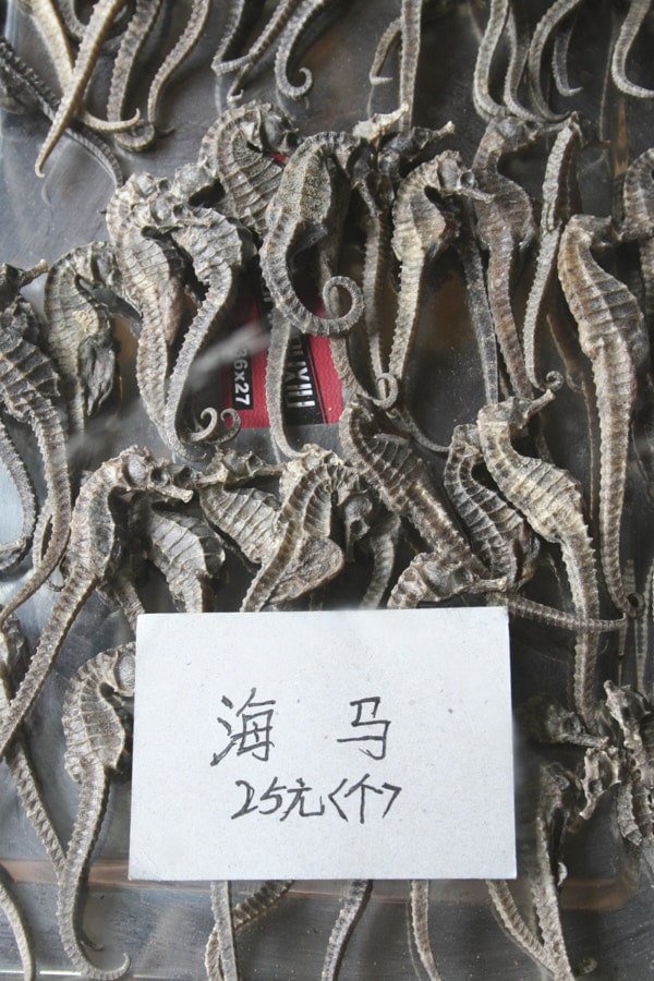 Hippocampes séchés de la pharmacopée chinoise
