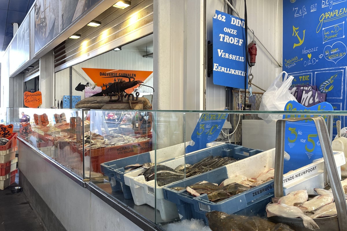 Étals de poissons frais au Vismarkt d’Ostende