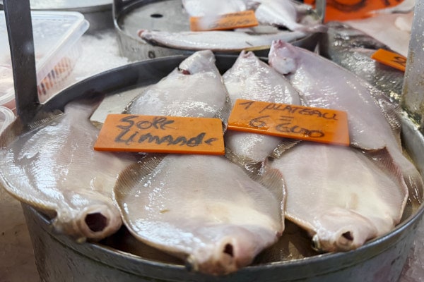 Poissons et produits de la mer présentés au marché aux poissons d’Ostende