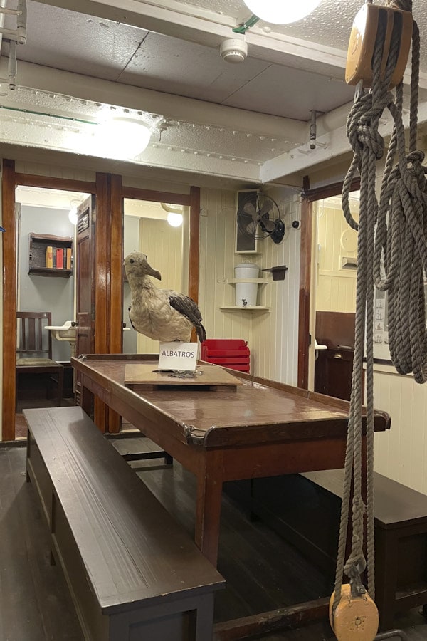 Salle à manger du Mercator