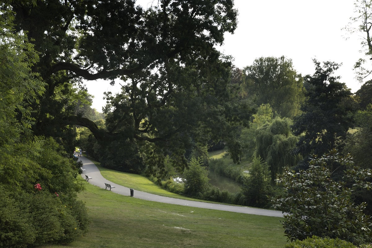 Parc de Barbieux, vue générale