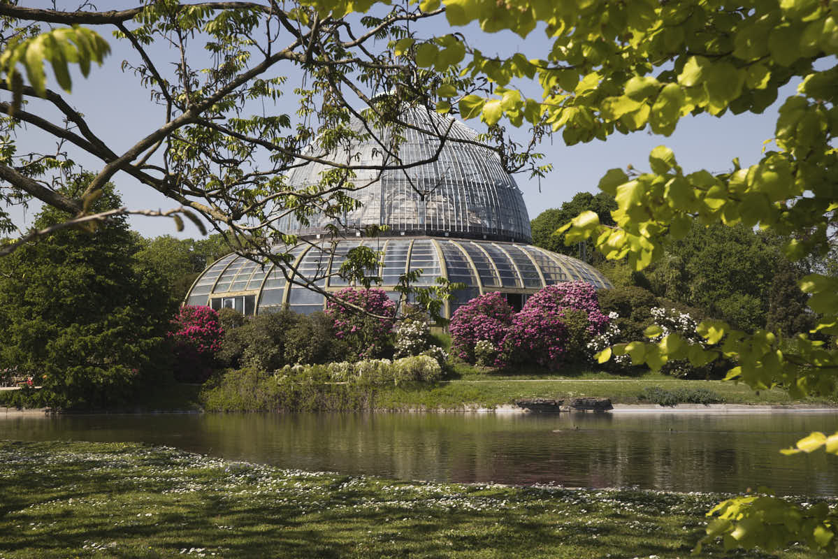 Les serres royales de Laeken vues depuis l'extérieur dans le jardin.