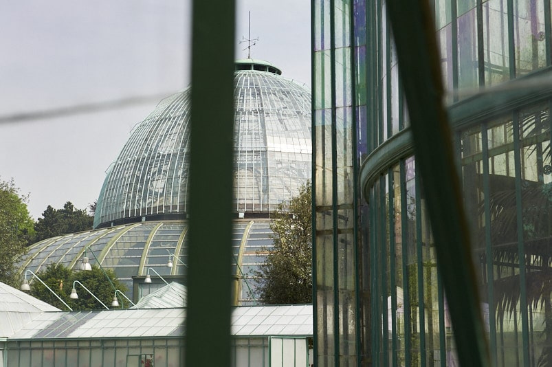 Une serre vue au travers d'une autre serre