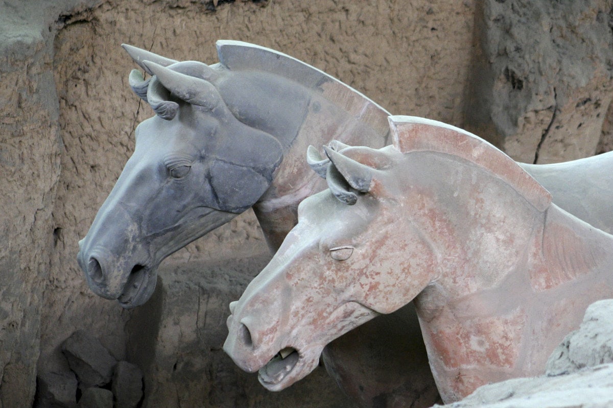Gros plan sur des chevaux en terre cuite